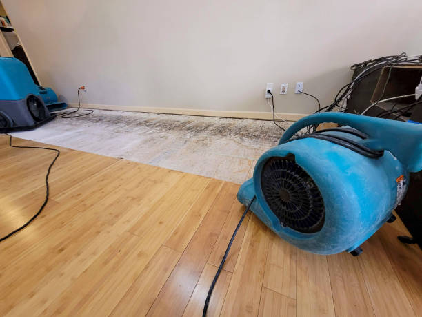 Reliable Basement Flood Cleanup contractor in Chester, VA by Hirex Water Damage