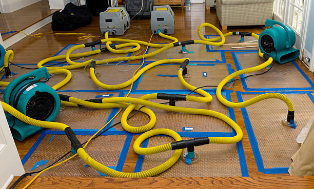 Professional Basement Flood Cleanup technician working in Chester, VA